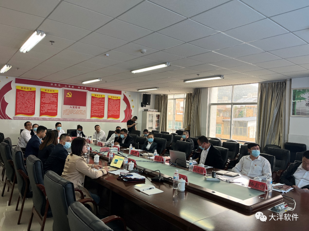 大洋公司赴西畴县参加医共体推进座谈会圆满结束
